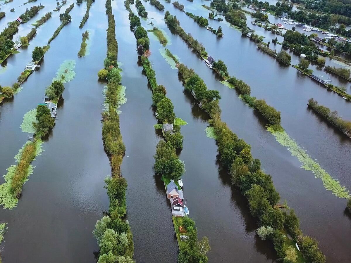 Фото с дрона