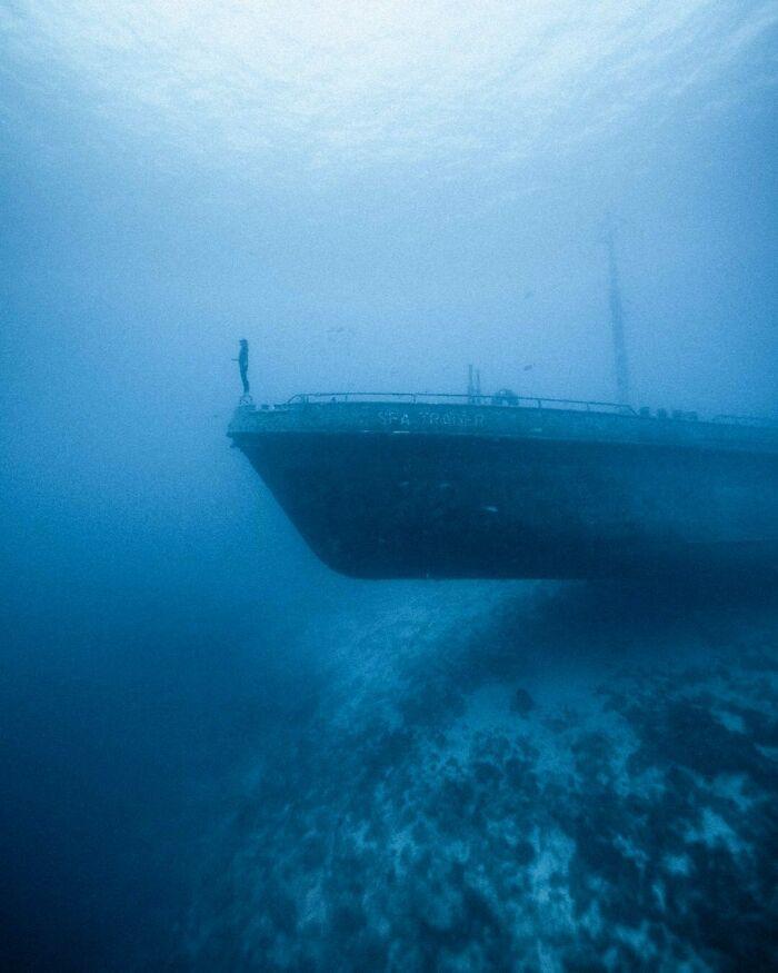 Фото: www.reddit.com/r/thalassophobia/