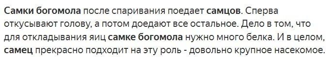 В отечественном кинематографе мы наблюдаем несколько совершенно не похожих друг на друга женских типажей.-6