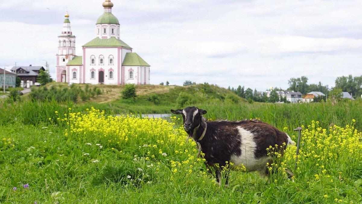 Идеальный отдых для меня — самостоятельное путешествие на машине или поход в горы.